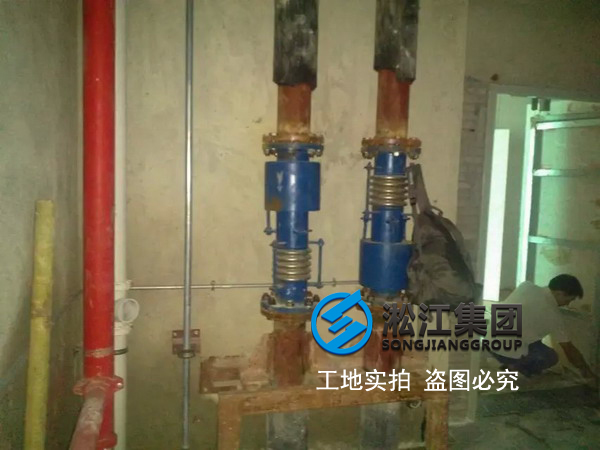 【橫琴總部大廈項目】采用茄子黄色视频內外壓平衡波紋補償器